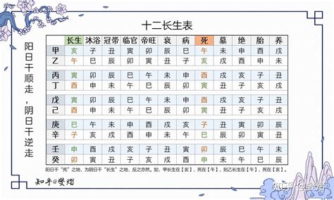 地支十二長生|八字之十二長生表詳解